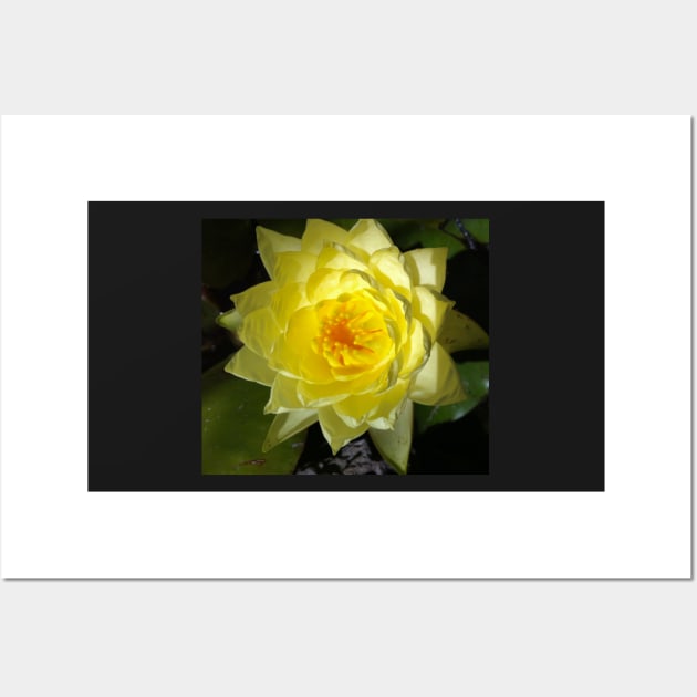 Yellow Lotus of Your Heart Wall Art by Photomersion